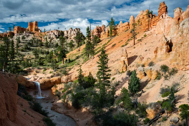 A canyon of red rock lined with trees and shrubs contains a waterfall feeding a small stream